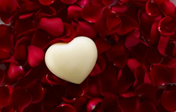 Картинка любовь, сердце, розы, лепестки, love, heart, romantic, Valentine's Day