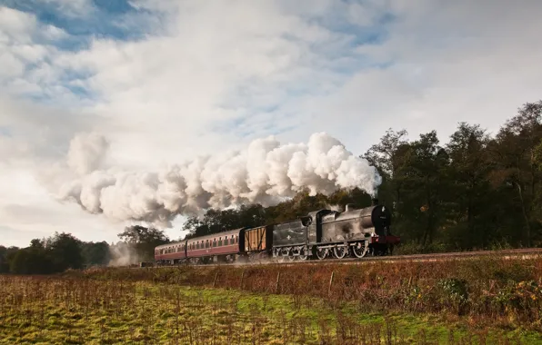 Картинка природа, дым, поезд, паровоз, вагоны