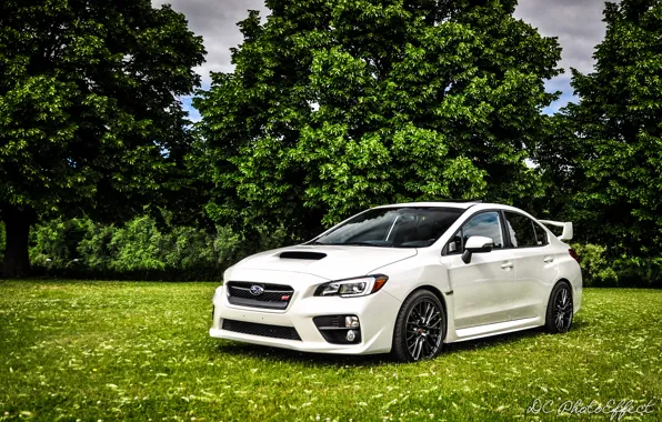Картинка белый, Subaru, white, субару, sti, сти, wrx sti, 2015, субаро, новая модель
