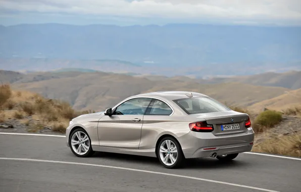 Картинка BMW, Coupe, 2013, 2 Series