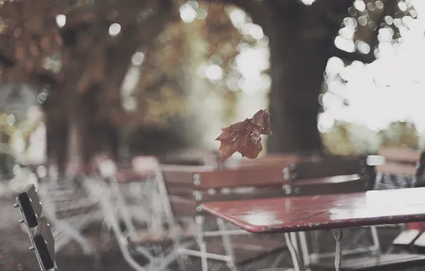 Картинка осень, лист, блики, парк, дерево, кафе, столики