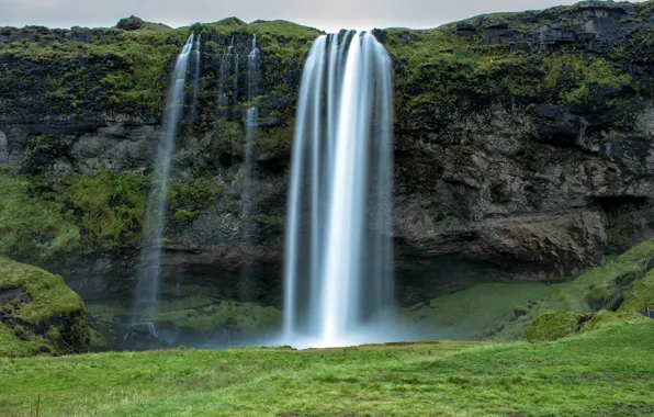 Картинка скала, поток, Исландия, Iceland, Seljalandsfoss Waterfall, водопад Селйяландсфосс
