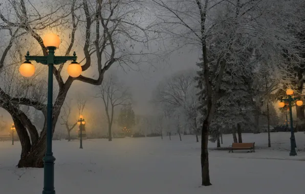 Картинка свет, снег, парк, Зима, фонари, скамейки