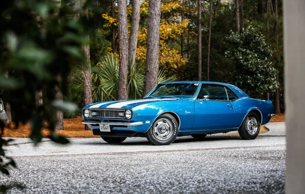 Картинка Chevrolet, Camaro, Classic, Blue, 1968, z28