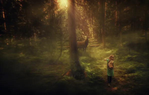 Картинка лес, олень, девочка