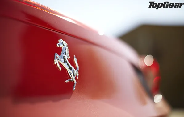 Картинка макро, красный, логотип, Ferrari, суперкар, эмблема, феррари, 458, top gear, италия, спайдер, самая лучшая телепередача, …
