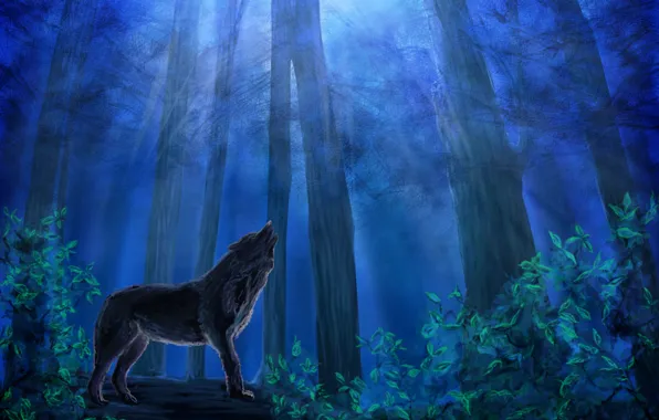 Картинка лес, небо, листья, деревья, ночь, животное, волк, хищник, живопись, синее, нуна