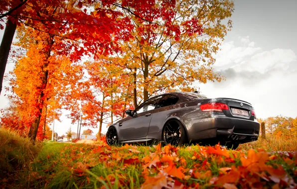 Картинка BMW, autumn, leaves, e92, fall
