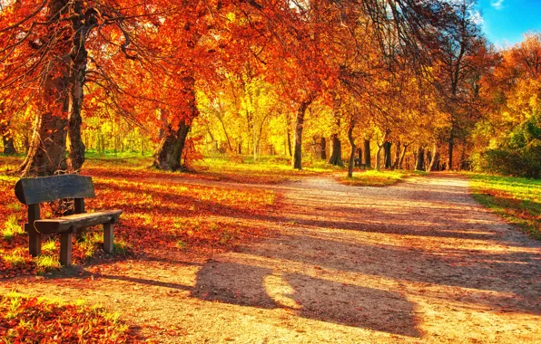 Картинка листья, деревья, пейзаж, скамейка, природа, trees, landscape, nature, красивые, beautiful, leaves, bench, Осенний парк, Autumn …