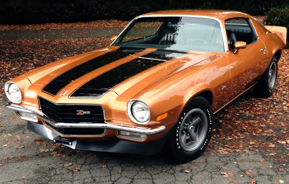 Картинка листья, оранжевый, фон, купе, Chevrolet, Камаро, Шевроле, 1971, Camaro, передок, Muscle car, Мускул кар, Z28