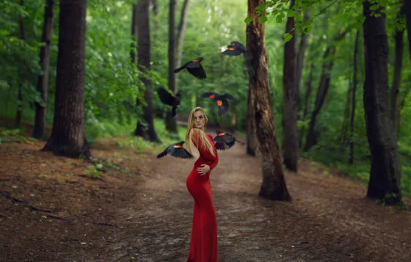 Картинка девушка, деревья, птицы, фигура, платье, в красном, Spring