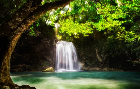 Картинка вода, дерево, водопад, поток
