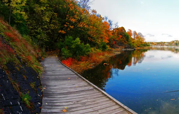 Картинка осень, деревья, природа, озеро, дорожка, Nature, мостик, trees, water, autumn, lake, path, fall