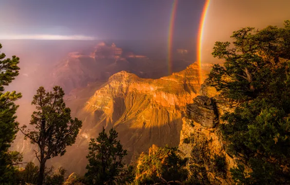 Картинка свет, деревья, скалы, радуга, каньон, США