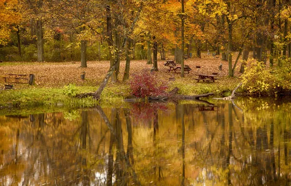Картинка осень, деревья, озеро, пруд, парк, стол, скамья