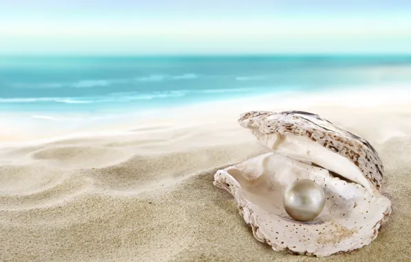 Картинка песок, море, пляж, ракушка, beach, sea, sand, shore, seashell, жемчужина, perl