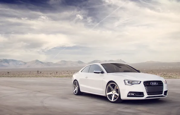 Картинка Audi, ауди, белая, перед, white