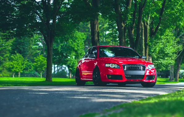 Картинка Audi, ауди, red, front, stance, RS4