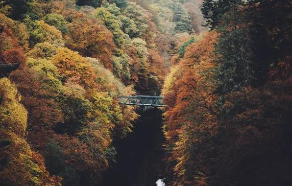 Картинка осень, деревья, природа, река