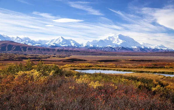 Картинка Аляска, гора Мак-Кинли, национальный парк Денали