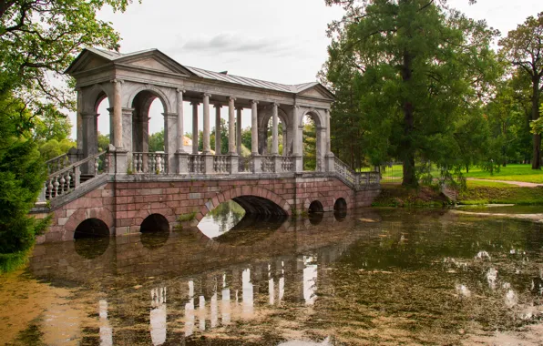 Картинка мост, пруд, парк, пушкин