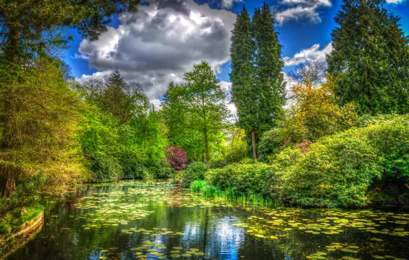 Картинка зелень, трава, облака, деревья, пруд, парк, Англия, обработка, кусты, Tatton Park