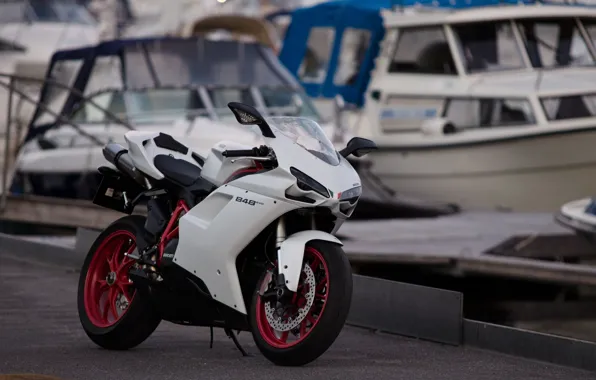 Картинка белый, мото, мотоцикл, white, moto, motorcycle, ducati, спортбайк, sportbike