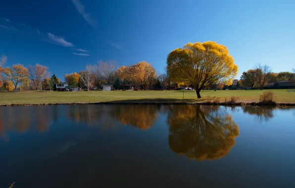 Картинка осень, небо, отражение, река, дерево