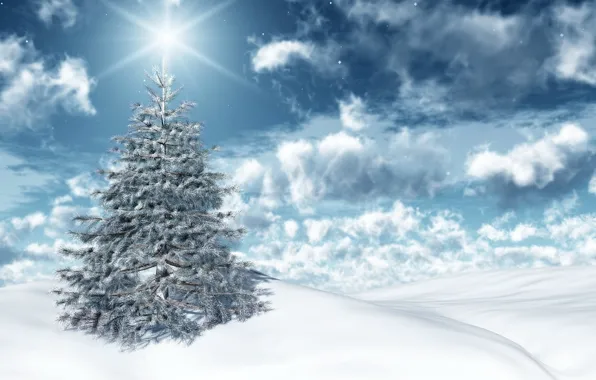 Картинка зима, небо, солнце, облака, свет, снег, праздник, новый год, ель, new year, sky, winter, clouds, …
