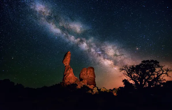 Картинка небо, звезды, ночь, дерево, пустыня, каньон, млечный путь, силуэты, кусты