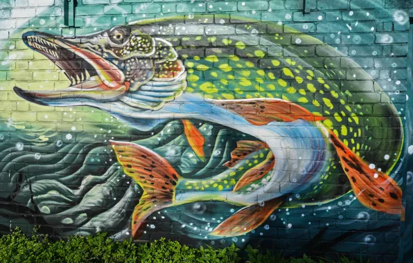Картинка стена, граффити, рыба, щука