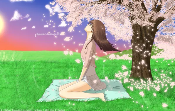 Картинка девушка, anime, art, sakura, 5 Centimeters per Second