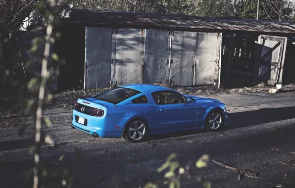 Картинка Mustang, Ford, Синий, Зад, Форд, Muscle, Мустанг, Car, Blue, 5.0