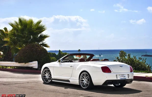 Картинка белый, white, Bentley Continental GTC