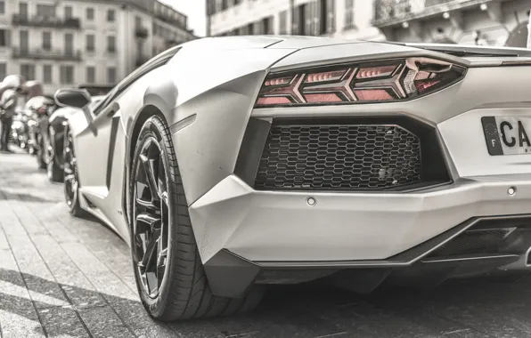 Картинка зад, черно-белая, Lamborghini, LP700-4, Aventador