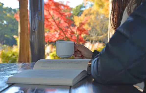Картинка чай, женщина, окно, чашка, книга, напиток, чтение