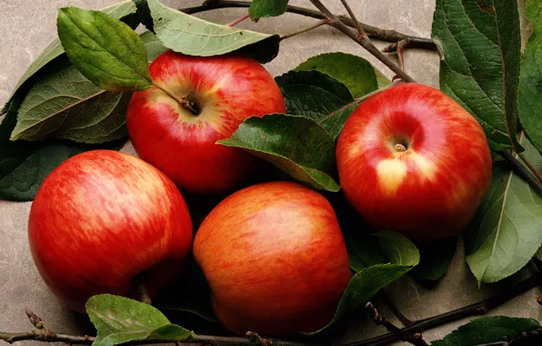 Картинка листья, яблоки, еда, фрукты