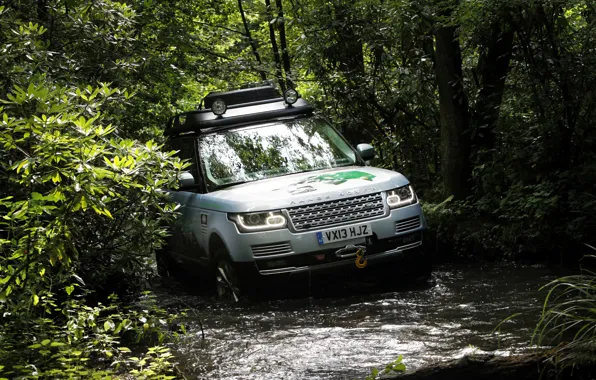 Картинка Land Rover, Range Rover, Wood, Hybrid, Off road, Land Rover Range Rover Hybrid 2015