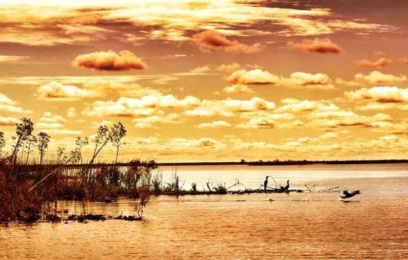 Картинка небо, облака, птицы, река, камыши, рассвет, кусты, Аргентина