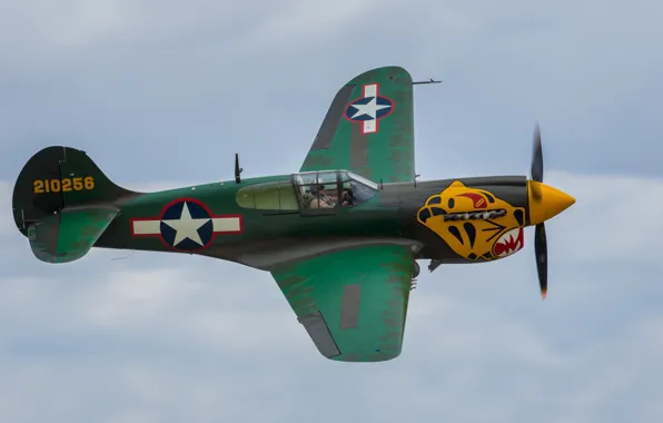 Картинка полет, истребитель, P-40, Warhawk