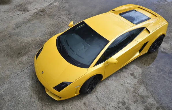 Картинка желтый, Lamborghini, Gallardo, Yellow, ламборгини, LP560-4