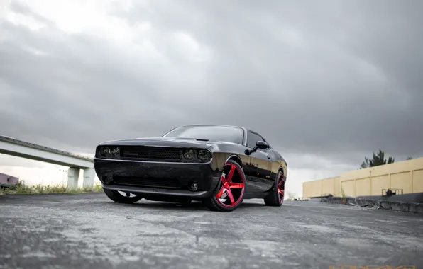 Картинка Dodge, Challenger, Red, Face, Lollipop, Gloss, on, 22 CW5