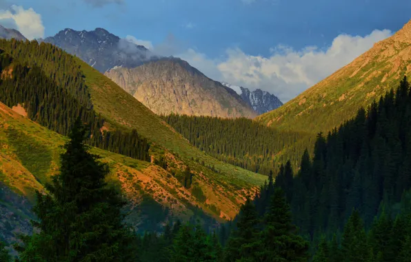 Картинка деревья, горы, ущелье, Киргизия, Киргизстан, Джеты-Огуз