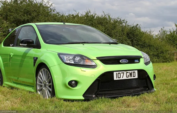 Картинка green, Ford, grass, focus