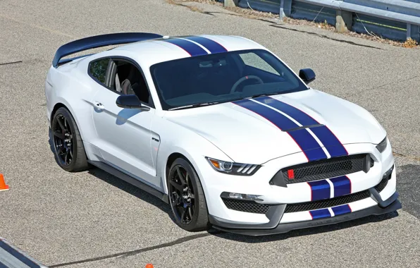 Картинка Mustang, Ford, Shelby, GT350R, Raceway, Grattan, at