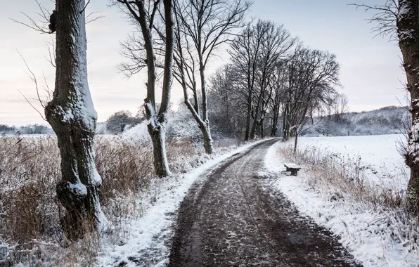 Картинка road, trees, field, winter, snow, bench
