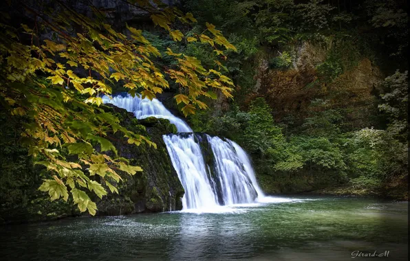 Картинка осень, листья, деревья, ветки, водопад