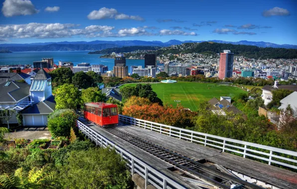 Картинка лес, горы, город, дома, Новая Зеландия, панорама, and, стадион, вода., New Zeal, Wellington