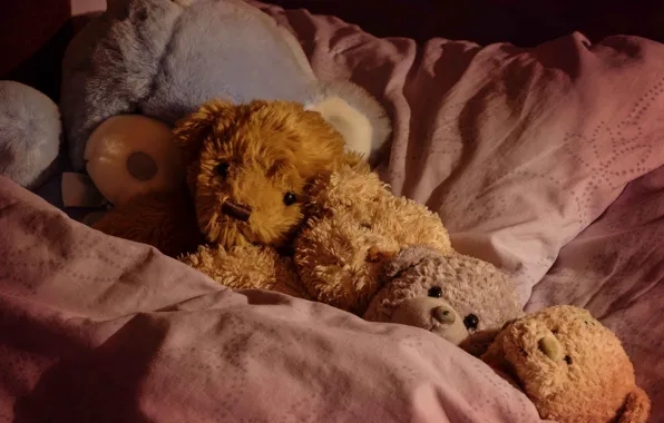 Картинка игрушки, сон, ситуация, медведи, постель, плюшевые мишки