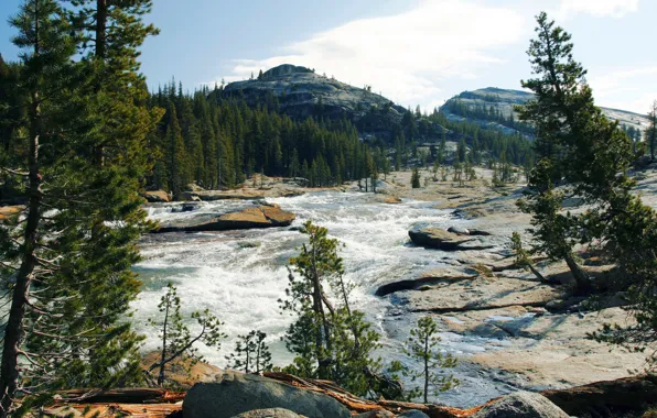Картинка лес, небо, облака, деревья, горы, скала, река, камень, Yosemite, National Park, Sierra Nevada